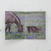 Wenskaart van wilde paarden - Fly in de lupine Kaart (Binnen)