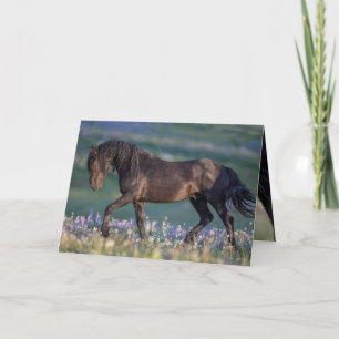 Wenskaart van wilde paarden - Galaxy Trots Kaart