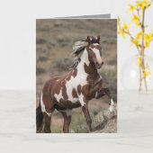 Wenskaart van wilde paarden - Picasso loopt op Kaart (Gele Bloem)