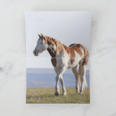 Wenskaart van wilde paarden - Teton's uitdaging Bedankkaart (Binnen)