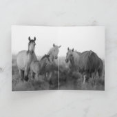 Wenskaart van wilde paarden - Wilde familie voor z Kaart (Binnen)