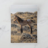 Wenskaart van wilde paarden - Wilde Pinto & Appalo Bedankkaart (Binnen)