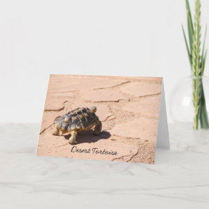 Wenskaart van woestijnschildpad blanco kaart