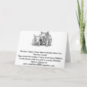 Wenskaart van Wombat Joeys Kaart (Achterkant)