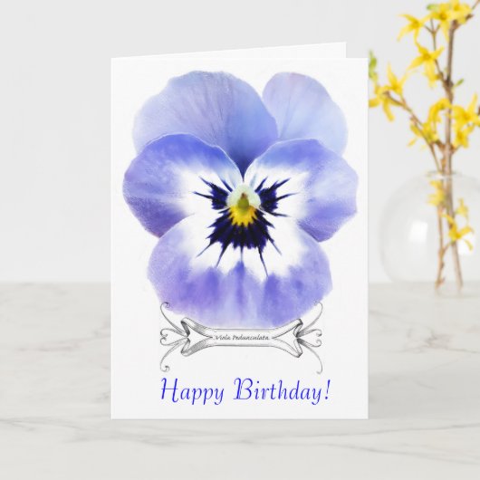  Wenskaart Viola Kaart (Gele Bloem)