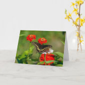 Wenskaart - Vlinder in de tuin in Stowe Kaart (Gele Bloem)