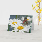 Wenskaart - Vlinder op een Shasta Daisy Kaart (Gele Bloem)