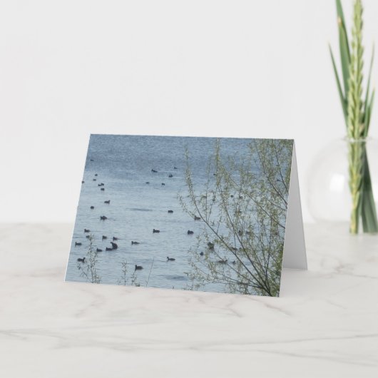 Wenskaart vogelmeer kaart (Voorkant)