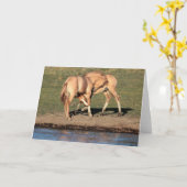 Wenskaart voor afspelen van kleur kaart (Gele Bloem)