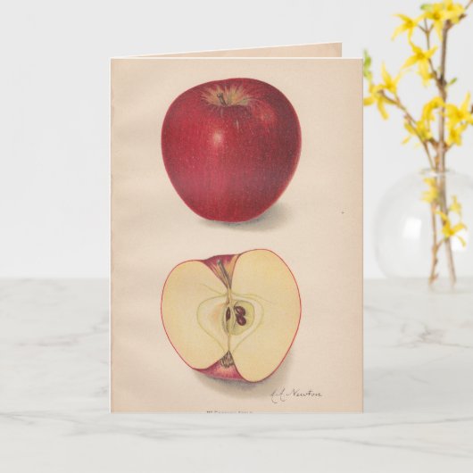 Wenskaart voor  appels kaart (Gele Bloem)