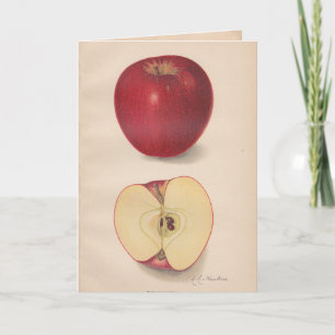 Wenskaart voor  appels kaart