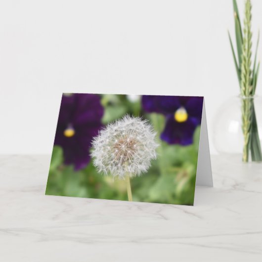 Wenskaart voor Dandelion en pansies Kaart (Voorkant)