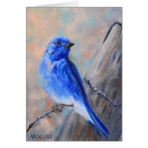 Wenskaart voor de blauwvogel van Mountain Bluebird