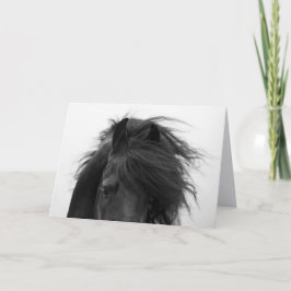 Wenskaart voor de eyes-paarden in Friesland Kaart