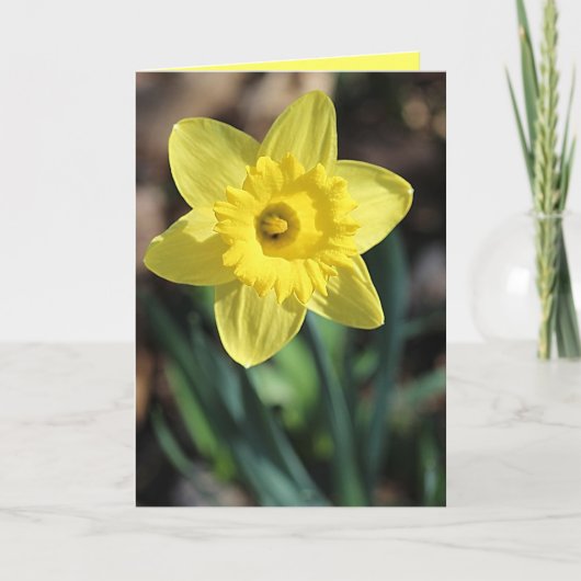 Wenskaart voor de lente! kaart (Voorkant)