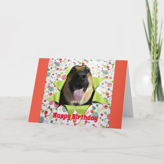 Wenskaart voor de verjaardag van de duitse herder kaart (Voorkant)
