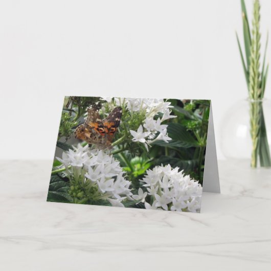 Wenskaart voor gebilderde vrouwerij kaart (Voorkant)