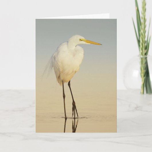 Wenskaart voor grote trottoirlopen kaart (Voorkant)