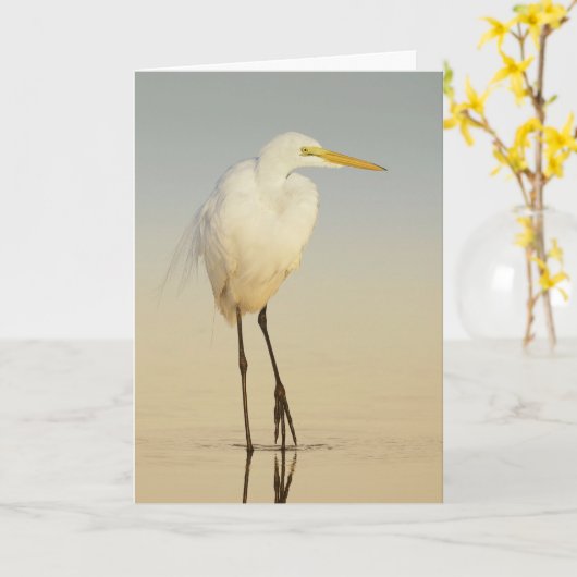 Wenskaart voor grote trottoirlopen kaart (Gele Bloem)