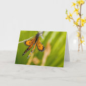 Wenskaart voor het drogen van zwarte vlinder kaart (Gele Bloem)