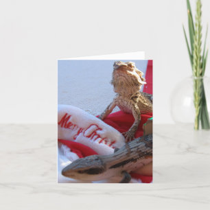 Wenskaart voor kerstmis in Aussie Feestdagen Kaart