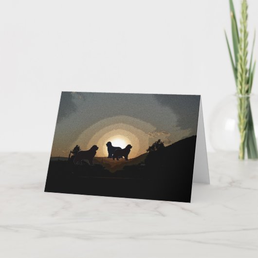 Wenskaart voor Newfoundlandse honden Kaart (Voorkant)