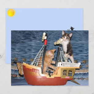 Wenskaart voor piratenKittens