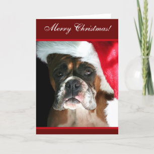 Wenskaart voor prettige kerstboxer Dog Feestdagen Kaart