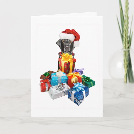 Wenskaart voor selectief geheugen feestdagen kaart (Voorkant)