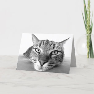 Wenskaart voor uitkoeling kaart