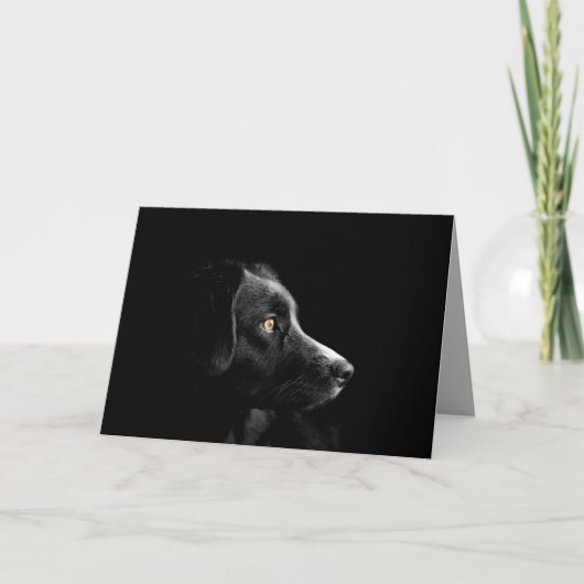 wenskaart voor zwarte labrador kaart (Voorkant)