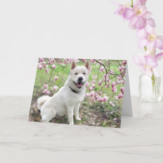 Wenskaart - White Akita Kaart (Orchidee)