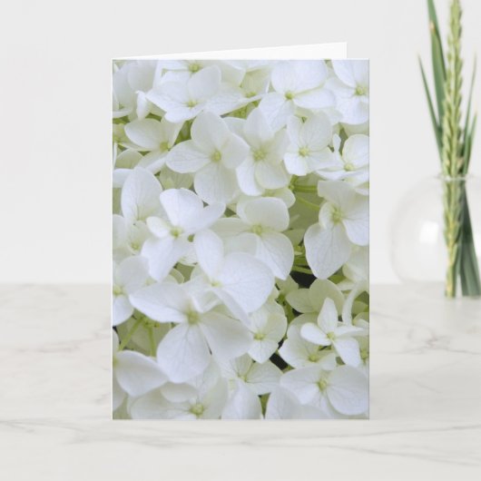 Wenskaart - White Hydrangea Kaart (Voorkant)
