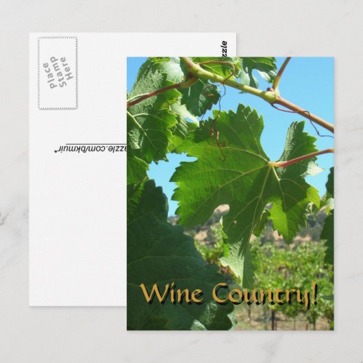 Wenskaart - Wijnland Briefkaart (Voorkant / Achterkant)