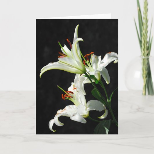 Wenskaart Witte Lilies Kaart (Voorkant)