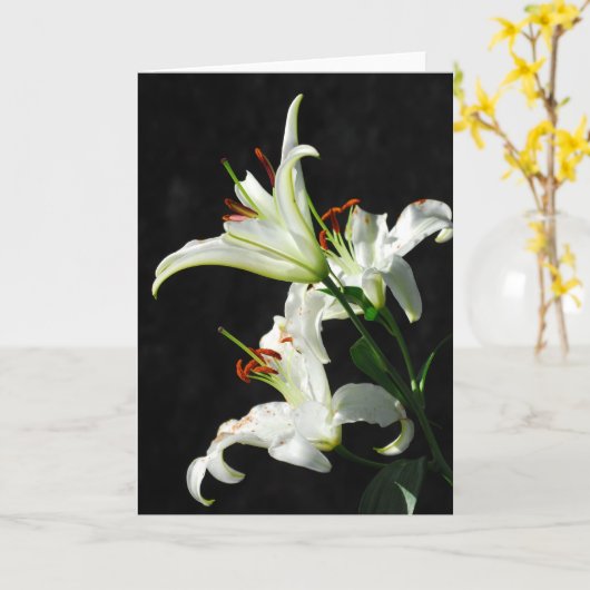 Wenskaart Witte Lilies Kaart (Gele Bloem)