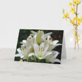 Wenskaart Witte Lilies Kaart (Gele Bloem)