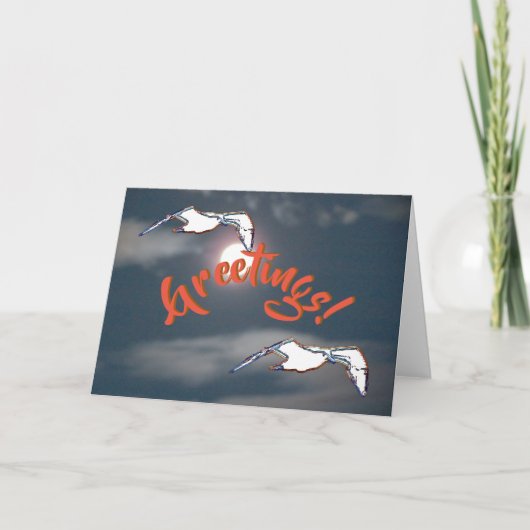 Wenskaart - zeemeeuw groet kaart (Voorkant)