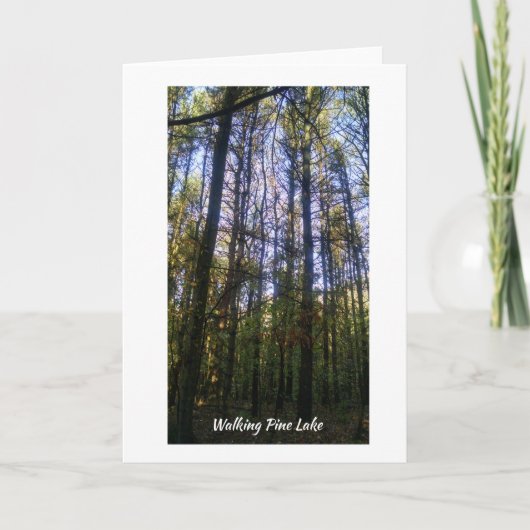 Wenskaart - Zomerwandeling op Pine Lake Kaart (Voorkant)