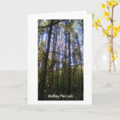 Wenskaart - Zomerwandeling op Pine Lake Kaart (Gele Bloem)