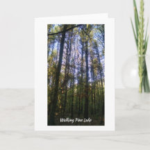 Wenskaart - Zomerwandeling op Pine Lake
