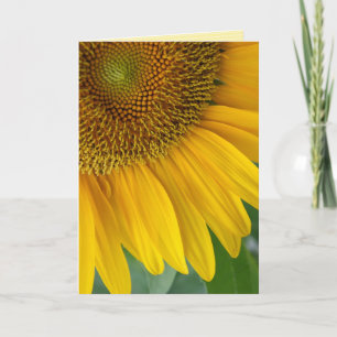 wenskaart "zonnebloem" kaart