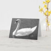 Wenskaart - Zwaan in zwart-wit Kaart (Gele Bloem)