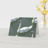 Wenskaart - Zwanen in kleur Kaart (Gele Bloem)