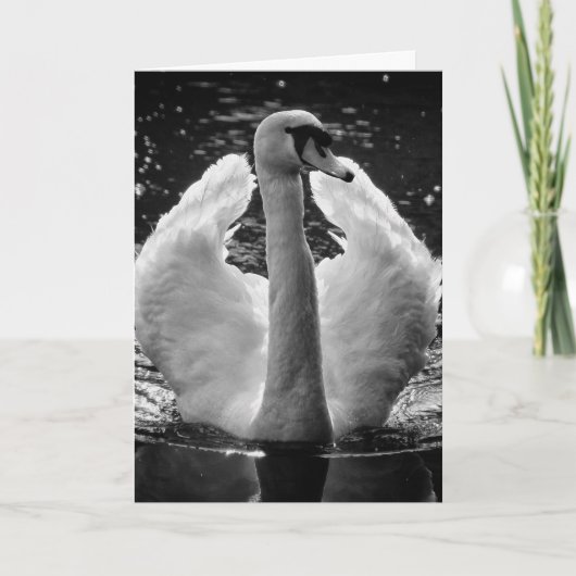 Wenskaart - Zwarte Witte Foto Zwaan Kaart (Voorkant)