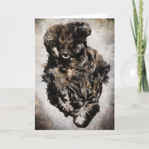 Wenskaarten Afghaanse hond Kaart