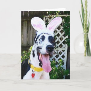 Wenskaarten door Bulldozer de Hond van de Therapie Feestdagen Kaart