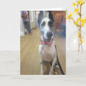 Wenskaarten door Bulldozer de Hond van de Therapie Kaart (Gele Bloem)