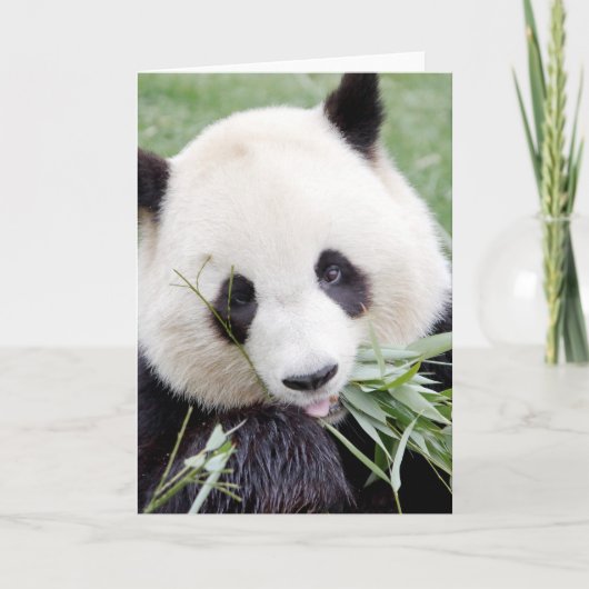 Wenskaarten Foto reuzenpanda. Grote panda. Kaart (Voorkant)