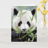 Wenskaarten Foto reuzenpanda. Panda geant. Kaart (Gele Bloem)